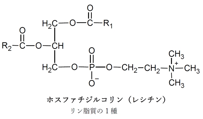 両性界面活性剤の種類と例　ベタイン・レシチン…